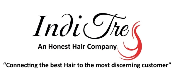logo INDI TRESS PVT LTD