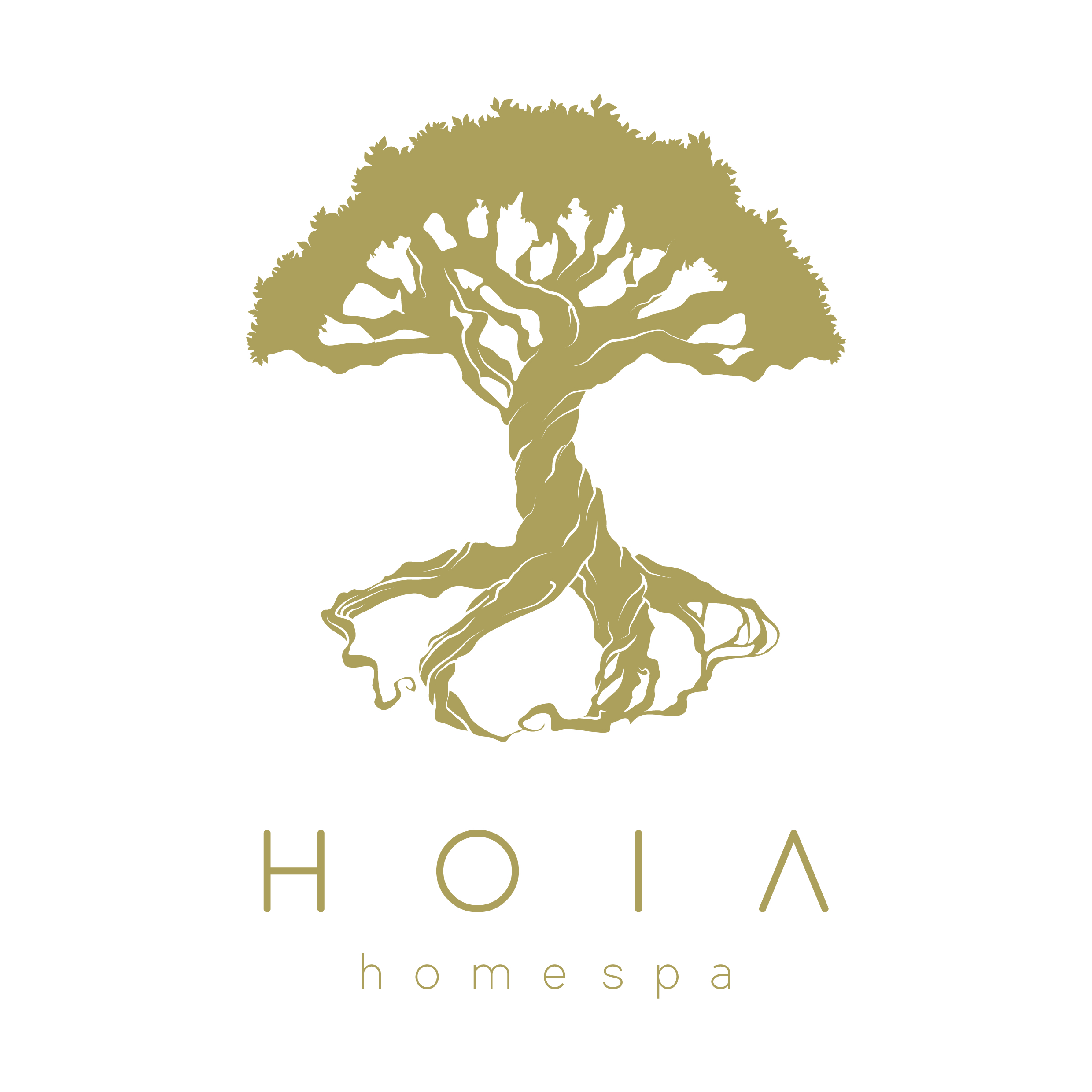 logo HOIA HOMESPA
