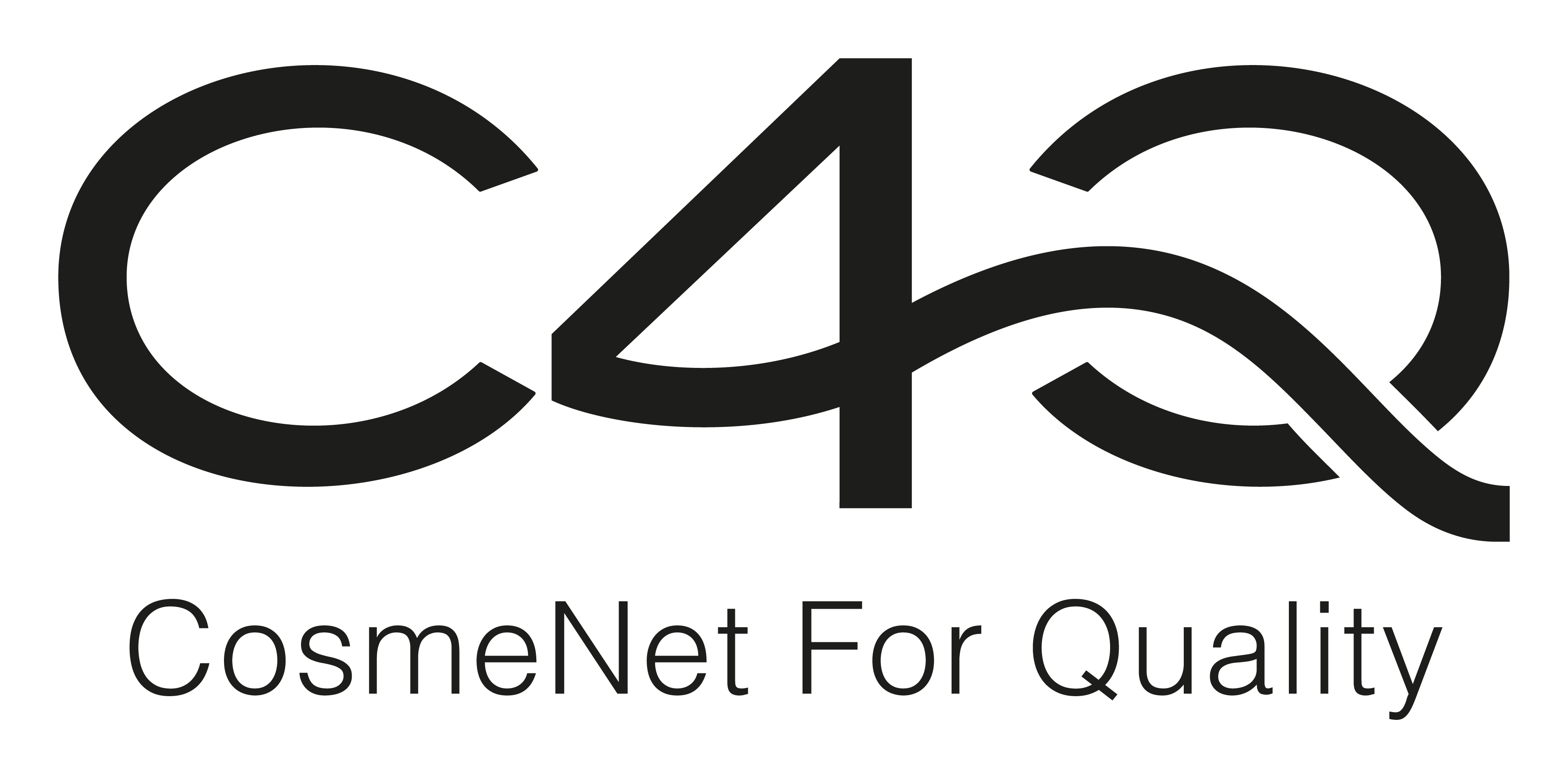 logo C4Q S.R.L