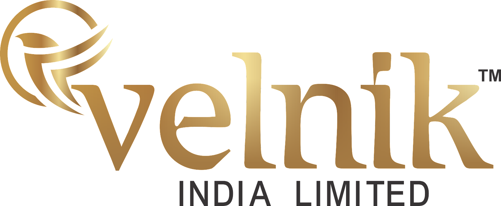logo VELNIK INDIA LIMITED