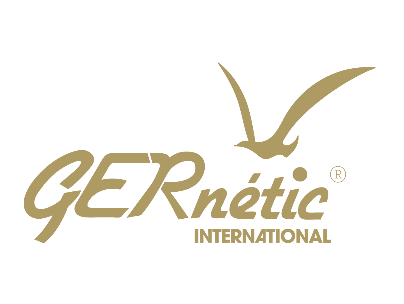 logo GERNETIC INTERNATIONAL