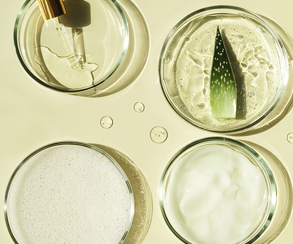 NEW 2023: INGREDIENTS ZONE