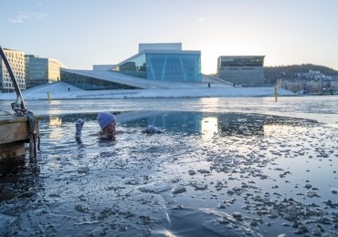 image: The Norwegian pavilion - photo 2