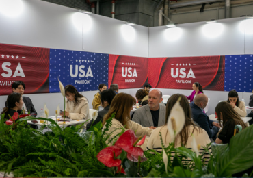 image: L'OFFERTA - photo 3