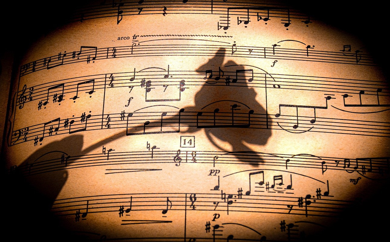 WELLNESS MUSIC: SOUND AS THE LANGUAGE OF THE BODY AND CELLS