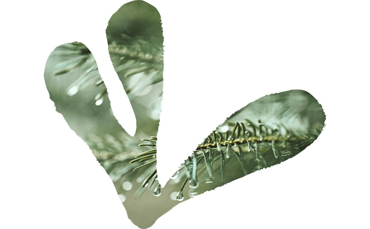 THE NEW FRONTIER OF SKINCARE? IT STARTS WITH THE MICROBIOME