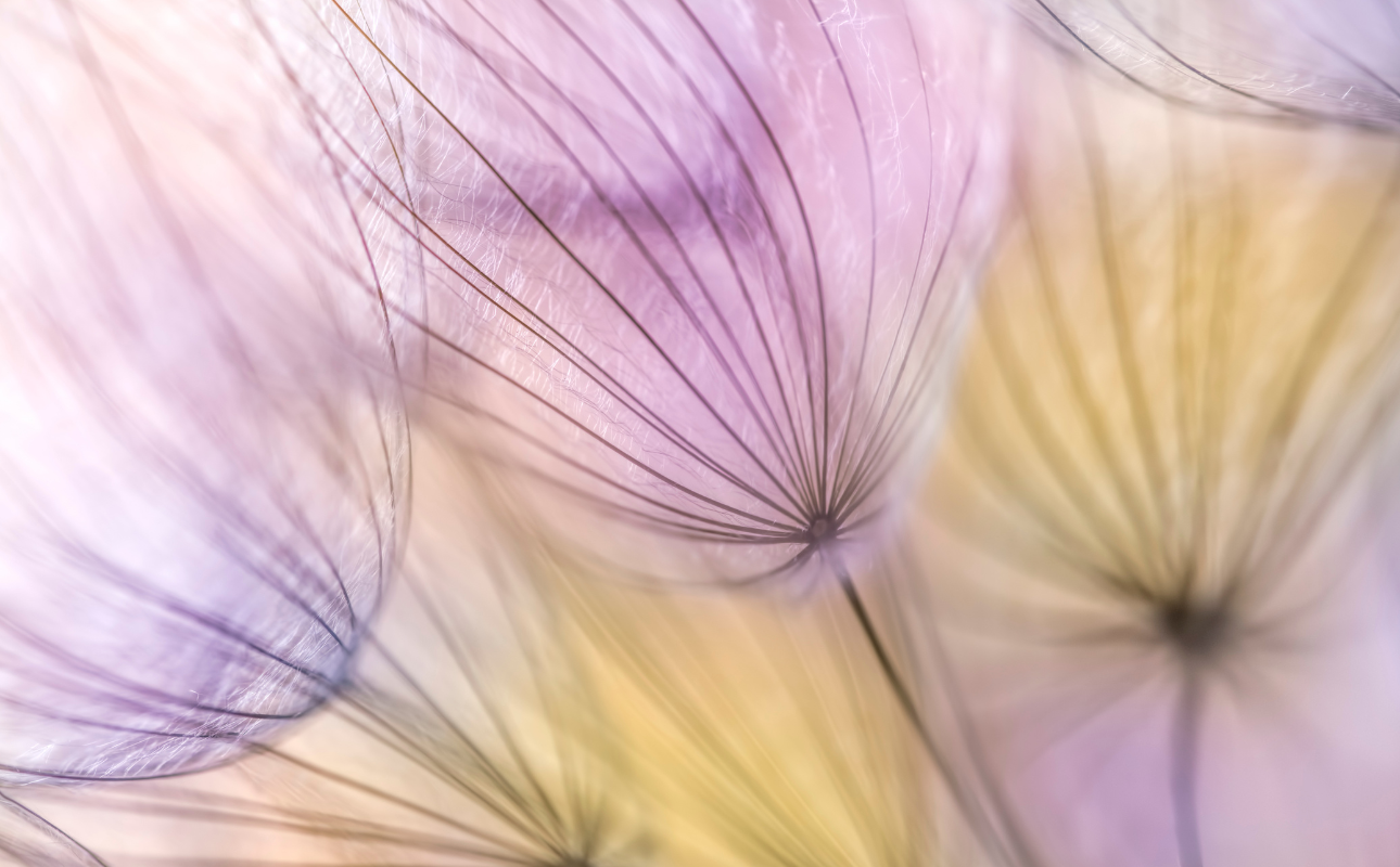 EMOTIONAL BEAUTY: L'UNIONE PROFONDA TRA PELLE E MENTE NEL CUORE DEL BEAUTY