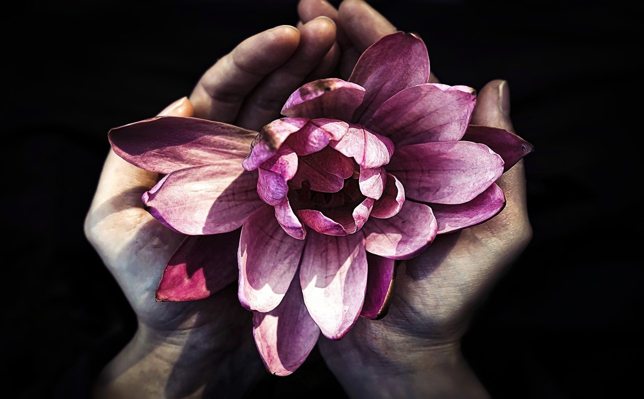 THE SYMBOLIC POWER OF HANDS: FROM GESTURES TO TOUCH