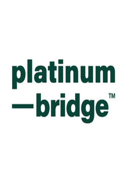 logo Platinumbridge Co., Ltd.