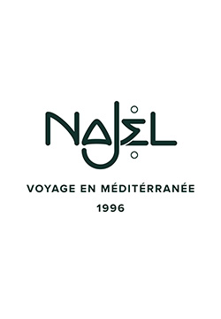 logo NAJEL - Laboratoire Najjar
