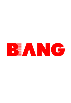 logo NINGBO BANGSHOU ELECTRIC CO.,LTD